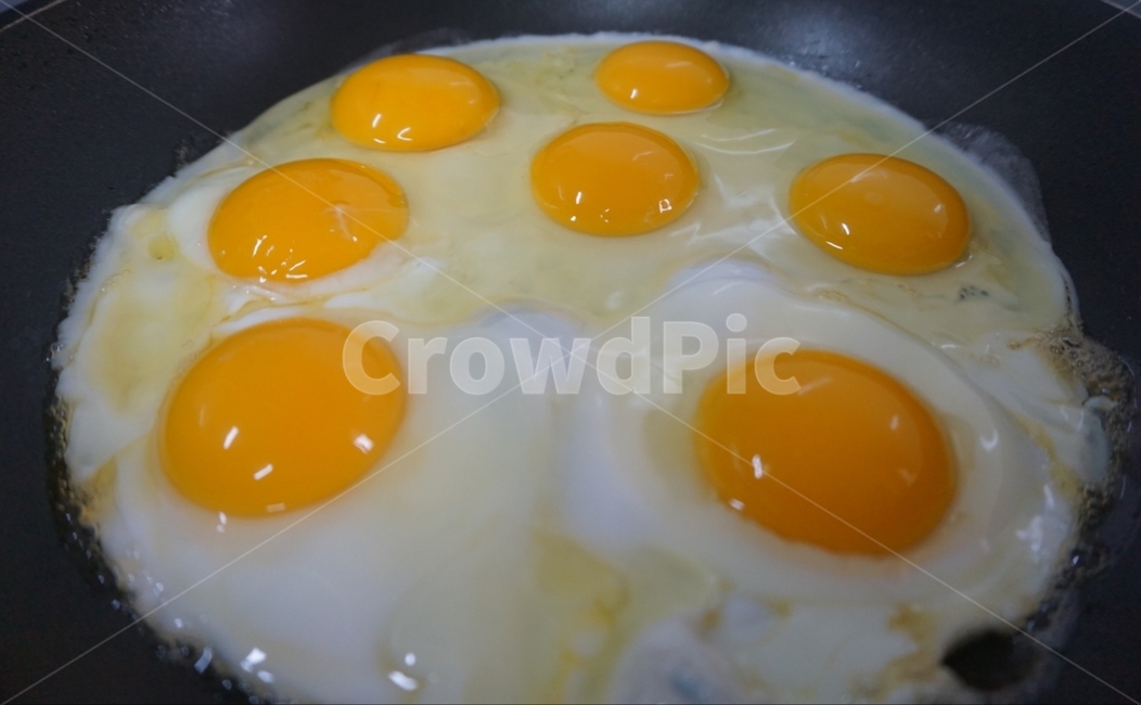 egg,food,음식,계란후라이,계란,요리,음식,식재료,요리,food,cook,meal,dishes,food reserves
