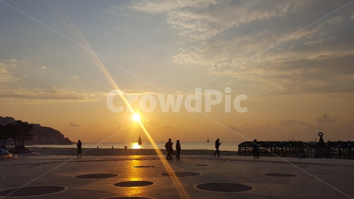 인간,빛,사람,sunlight,일몰,바다,석양