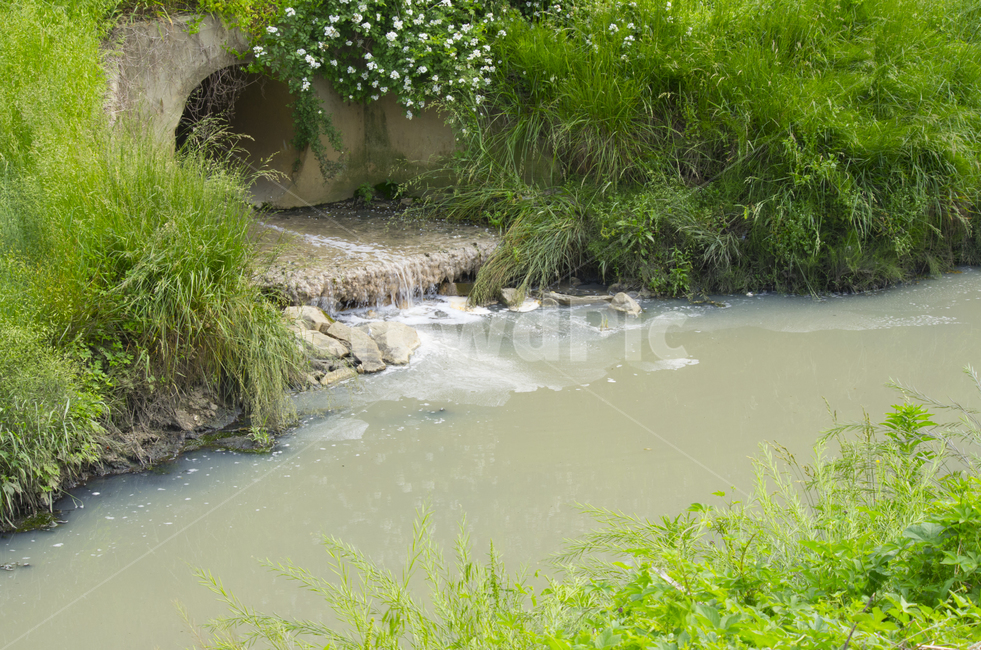 개천,하천,환경,오염,폐수,환경문제,pollution,environment
