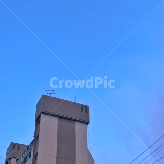 빌딩,건물,하늘,파란하늘,여름,여름감성,푸른하늘,sky,bluesky,building,summer,cool