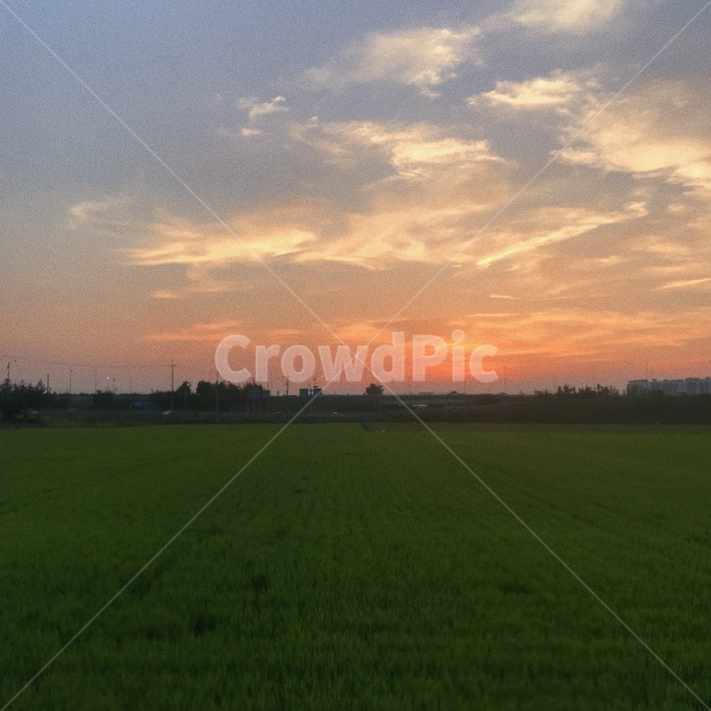 노을,석양,시골길,자연,저녁,sunset,rural,countryside,nature,afternoon,시골,마을,풍경,landscape,country,rural,town