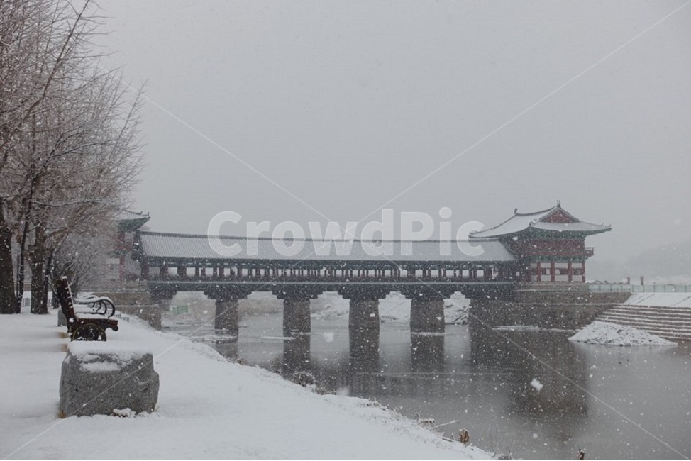 눈,자연,나무,하천,겨울,겨울,계절,winter,season,자연,풍경,nature,landscape,한국자연풍경,한국자연경관,korea nature landscape,한국전통,한국문화,korean traditional,korean culture,blizzard,눈보라,storm,폭풍,snow,outdoors,옥외,bench,벤치,furniture,가구