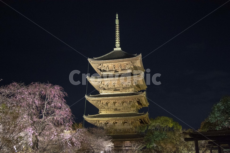 도지,일본,야경,풍경,japan,temple,탑,건축물,tower,architecture