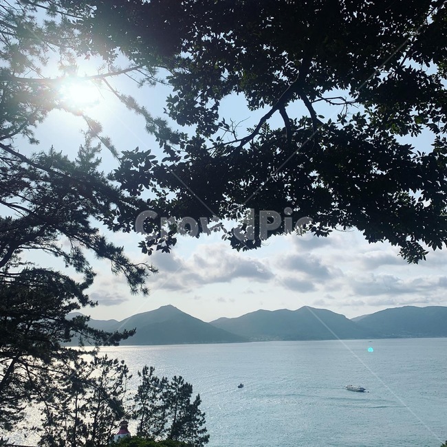 바다,water,물,태평양,햇살,해안선,거제도,제주도,섬