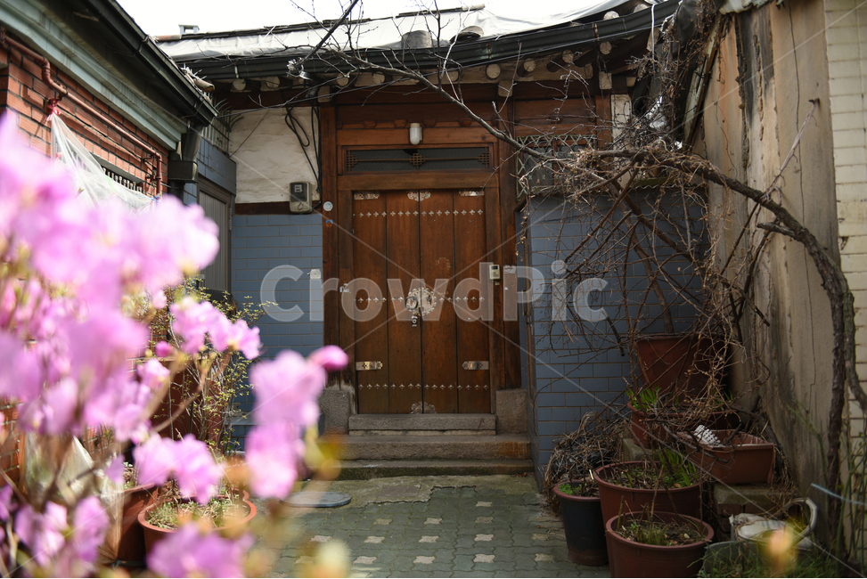 나무대문,봄,옛날주택,대문,기와,flagstone,판석