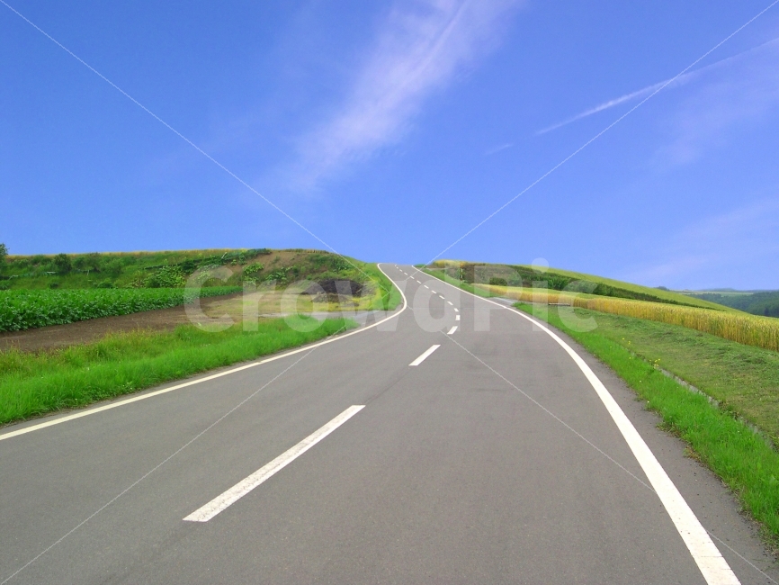 	도로,길,풍경,자연,하늘,구름,전원,시골,논,논밭,밭,로드,load,way,자연,풍경,nature,landscape,교통,교통수단,traffic,transportation,시골,마을,country,rural,town,road,도로,asphalt,아스팔트,highway,고속도로,freeway,고속 도로