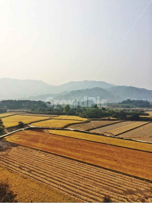 가을들녘,가을,논,추수,풍경,시골,마을,풍경,landscape,country,rural,town