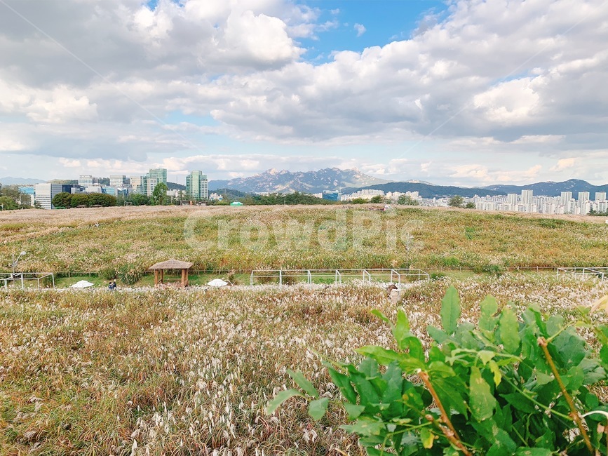 가을,들판,구름,가을하늘,field,자연,nature,outdoors,들