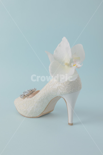 footwear,웨딩슈즈,결혼,결혼식,하이힐,꽃,보석,우아,순수,jewelery,패션,패션트랜드,행사,이벤트,기념,의식,레이스,wedding,weddingshoes,shoe,구두,신부,신랑,사랑,파티,축하,celebrate,event,신발류,groom,bride,결혼,혼례,웨딩,wedding,marriage,marry