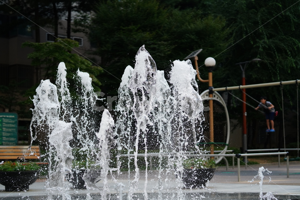 물,분수,워터,water,풍경,person,인간,사람,여름,계절,summer,season