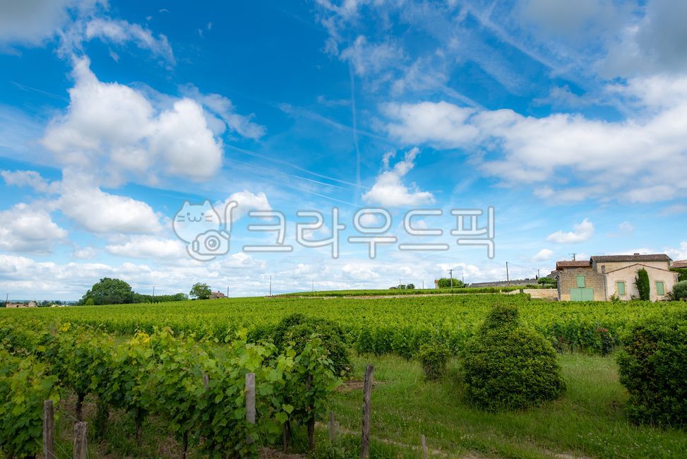 bordeaux,worldheritage,Bordeaux,villige,vinyard,saintemilion,Saint Emilion,landscope,wine village,vineyard,south of france,Town,sight,france,Emotion,europe,winevillage,bordeauxwine,nature,world cultural heritage,saintmilion,Bordeaux wine,feeling,outdoors,