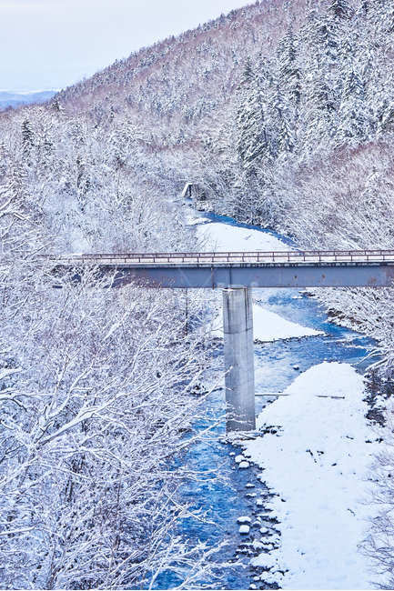 흰수염,폭포,눈,겨울,산,나무,자연,고요한,평화로운,소음없는,조용한,설경,설원,숲,풍경,파란,물,푸른,에메랄드,얼음,아이스,다리,북해도,훗카이도,비에이,nature,building,건물