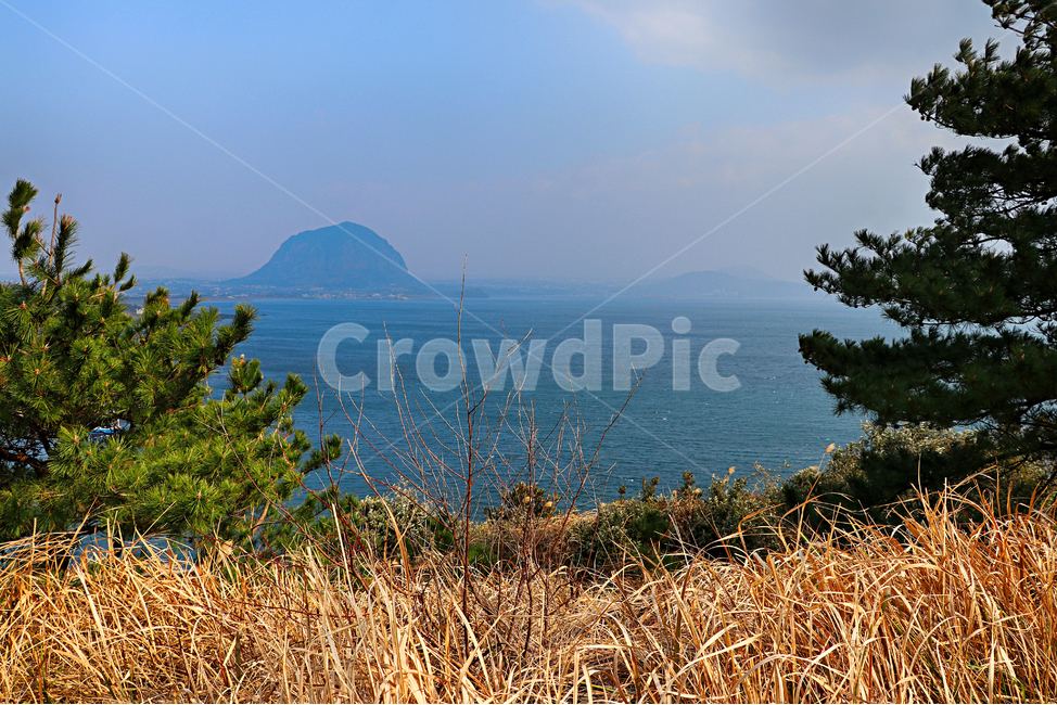 제주도,서귀포,송악산,송악산둘레길,nature,자연,옥외,outdoors,바다,해안선,연안,sea,ocean,자연,풍경,nature,landscape