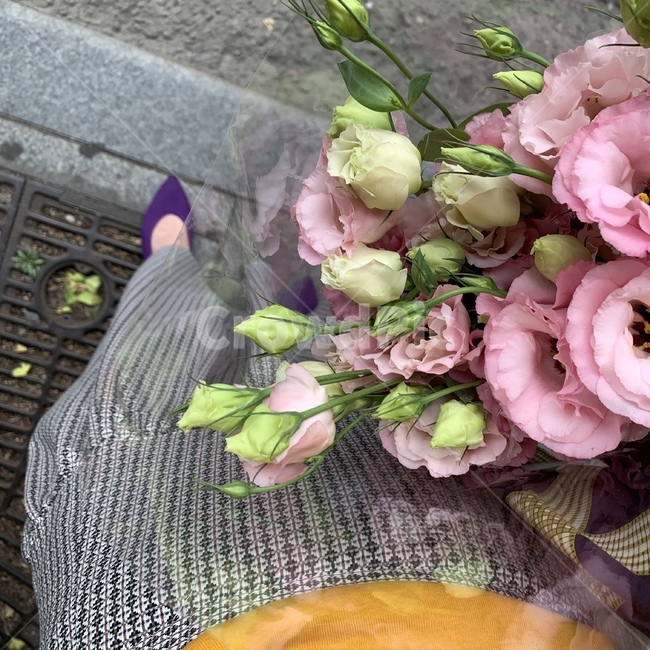 식물,꽃,스커트,발,여성,plant,봄,식물,자연,plants,nature,꽃,flower,패션스타일,의상,fashion,style