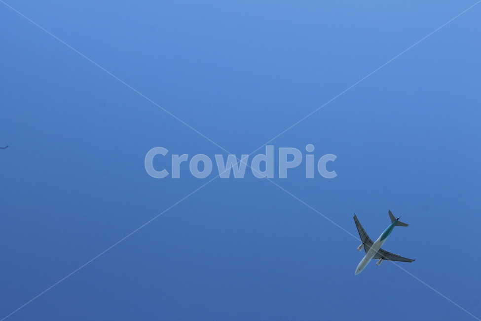 비행기,하늘,자유,여행,travel,sky,airplane
