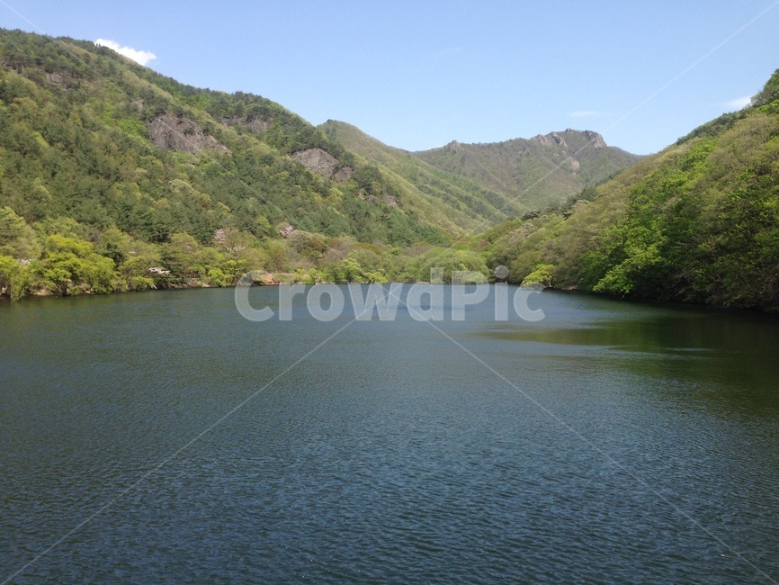 주산지,주왕산,저수지,인공저수지,왕버들,버드나무,청송,한국,jusanji,juwangsan,reservoir,artificialreservoir,weepingwillow,koreanweepingwillow,cheongsong,korea