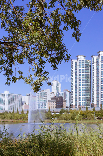outdoors,옥외,nature,자연,flower,꽃,blossom,상동호수공원,water,물,분수,무지개,건물