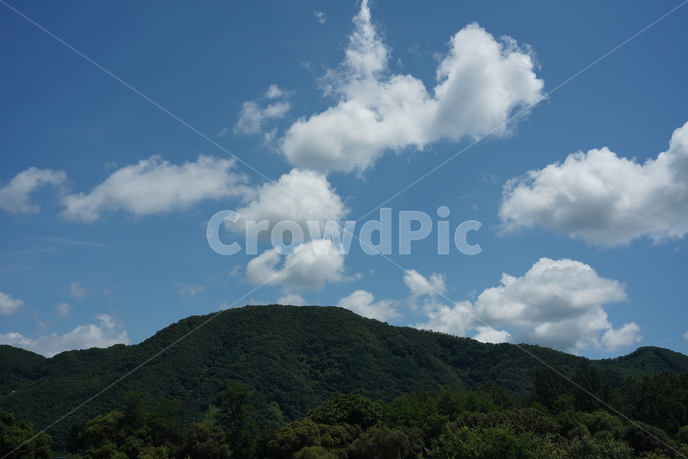 여름휴가,하늘,구름,자연,나무,호수,때약볕,여름,sky,날씨,더위,색깔,색감