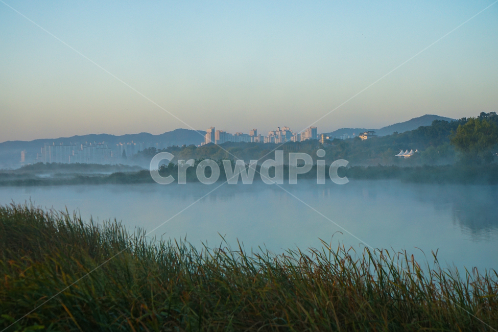 호수,저수지,안개,반영,새벽,여명,도시,풍경,city,landscape,한국도시풍경,한국도시경관,korea cityscape,nature,자연,weather,날씨,outdoors,옥외,fog