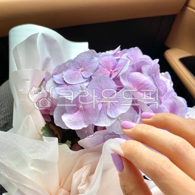 꽃,flower,blossom,flowerbouquet,꽃부케,수국,꽃다발,네일아트,보라색,연보라색