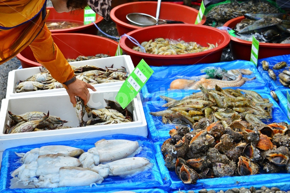 plant,식물,food,음식,재래시장,전통시장,노점상,좌판,bowl,사발,human,인간,person,사람,market,시장,갑오징어,꽃게,소라,새우,문어,가리비