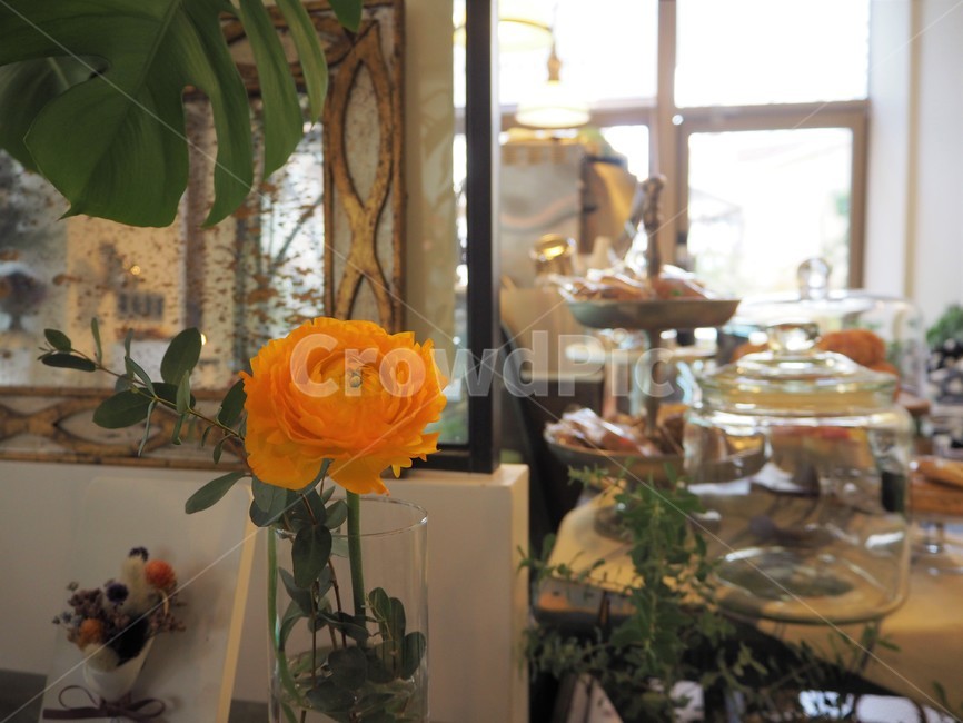 카페,cafe,노란꽃,라넌큘러스,노란라넌큘러스,꽃,flower,식물,자연,plants,nature,꽃,flower,인테리어,실내디자인,interior design