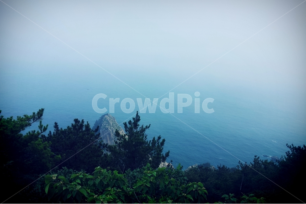 통영,거제,한려수도,풍경,바다,자연,풍경,nature,landscape,한국자연풍경,한국자연경관,korea nature landscape,outdoors,옥외,plant,식물,tree,나무