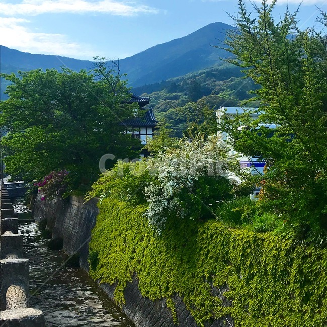 대마도,일본,풍경,일본풍경,자연