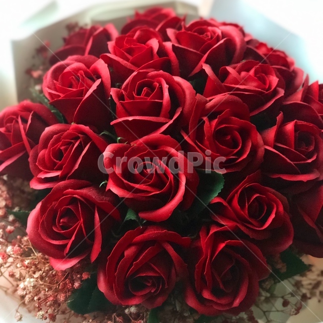 꽃,장미,빨강,빨간색,꽃다발,꽃,flower,기념일,축하,anniversary,congratulation,celebrate,celebration