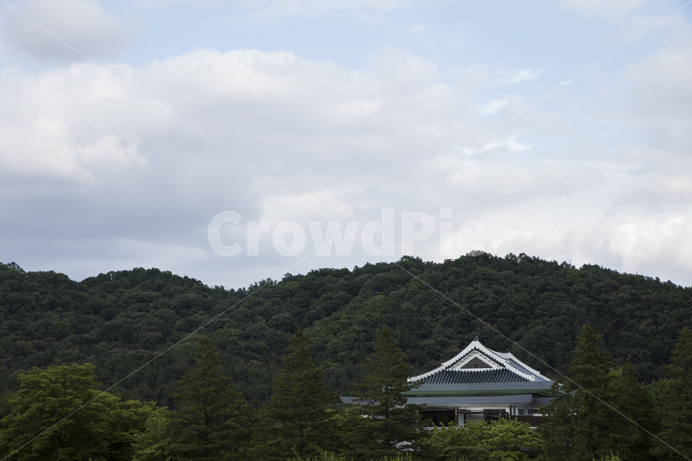 대전국립현충원,기와집,산,산맥,기와,산속