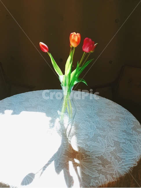 꽃,튤립,그림자,테이블,햇빛,무늬,꽃병,flower
