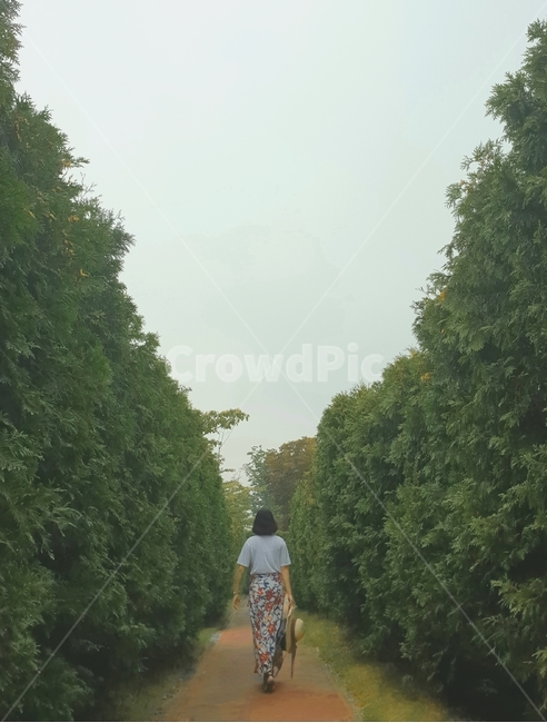 human,인간,person,사람,뒷모습,숲,나무,tree,초록,색채,여성,여름,계절,summer,season,사람,인물,인간,human,person,여성,여자,woman,female,lady,여행,휴가,traveling,vacation,trip