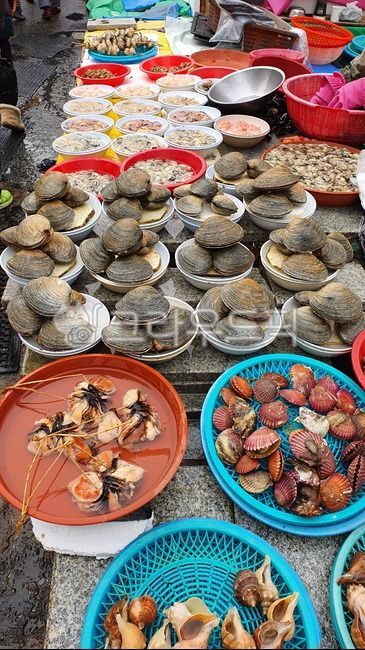 수산시장,시장,한국시장,해산물,물고기,fish,fishmarket,마트,market,마켓,mart,marketplace,음식,식재료,요리,food,cook,meal,dishes,foodreserves,수산물,fisheryproducts,seafood