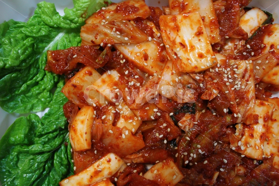 김치,상추,보쌈김치,요리,배달음식,음식,식재료,요리,food,cook,meal,dishes,food reserves,채소,야채,vegetables,한식,한국음식,한국요리,korean food,korean dishes,korean meal,korean cook