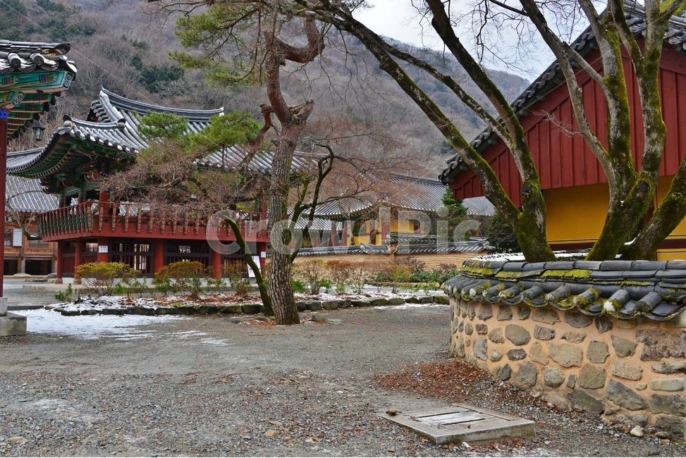 flagstone,판석,path,통로,walkway,보도,building,건물,architecture,건축물,roof,nature,자연,outdoors,옥외,장성,백양사,사찰,불교,종교,유적지,문화재,담장,돌담장,지붕