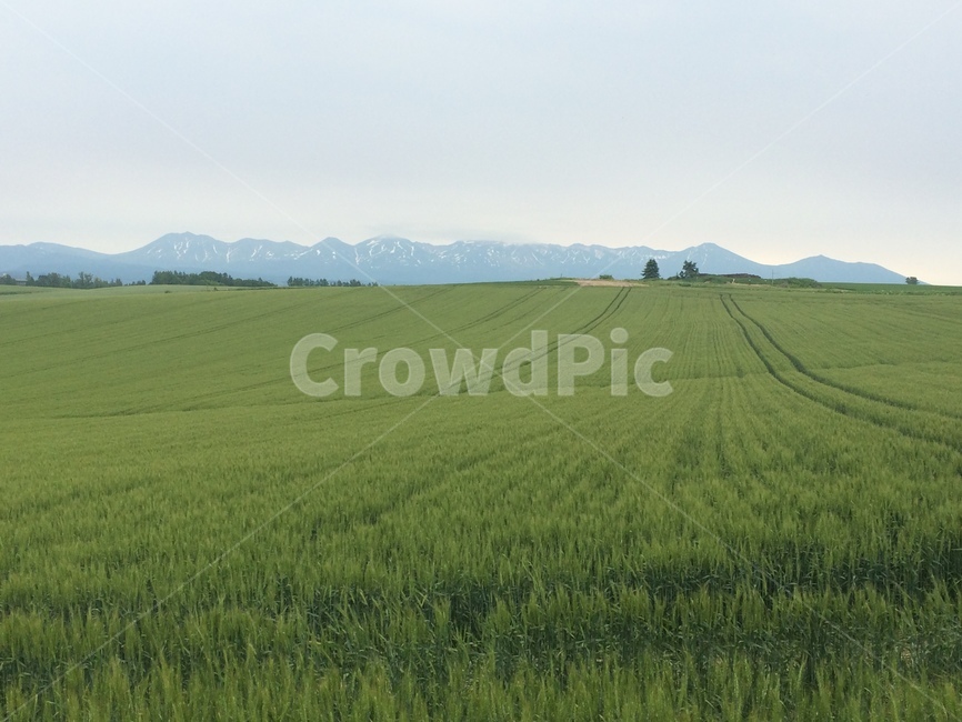 자연,들판,nature,field,green,mountain,평화,peace,자연,풍경,nature,landscape,들,outdoors,옥외,grassland,목초지,land,땅