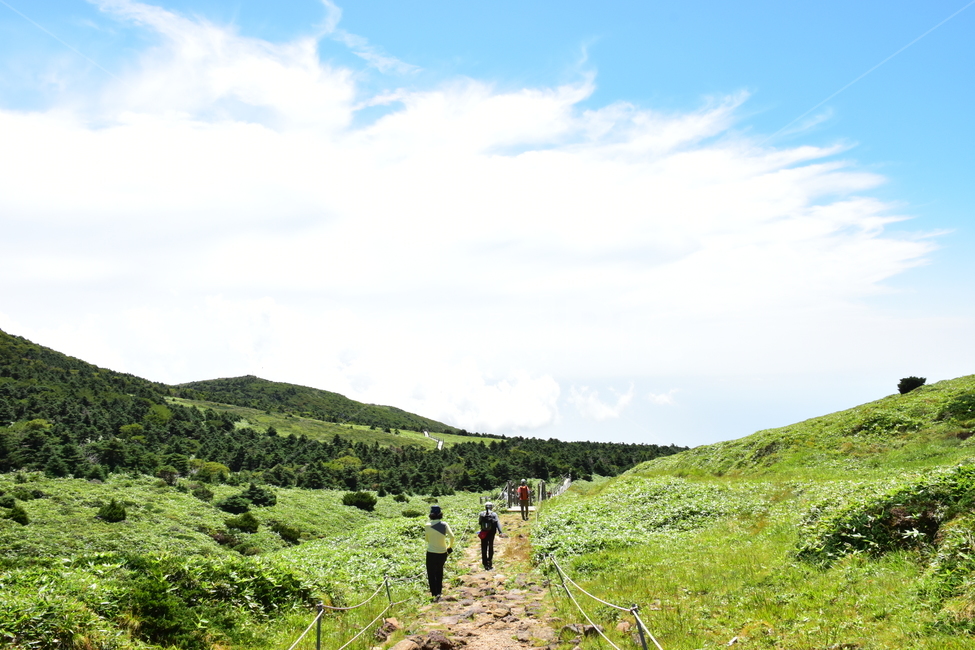 영실,한라산,제주,기암괴석,절경,자연,풍경,힐링,여름,계절,탐방,등산,남벽,윗세오름,season,nature,landscape,한국자연풍경,한국자연경관,korea,naturelandscape,제주도,jeju,jejuisland,자연,풍경,nature,landscape,한국자연풍경,한국자연경관,korea nature landscape,outdoors,옥외