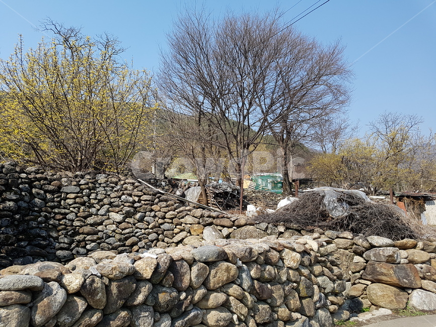 wall,벽,rubble,돌담,산수유마을,자연,풍경,nature,landscape