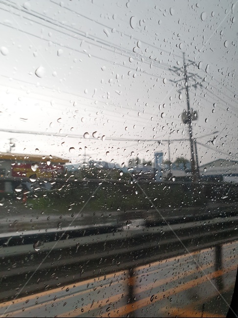 레일,교통,도로,rail,road,비,우산,차분한,비,비오는날,rain,rainy