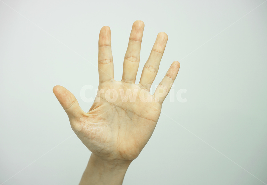 손,손가락,손동작,손모양,손제스쳐,hand,handmotion,finger,gesture,사람,인물,인간,human,person,신체일부,몸,body,손,제스처,표시,손짓,표현,gesture,hand,sign,expression