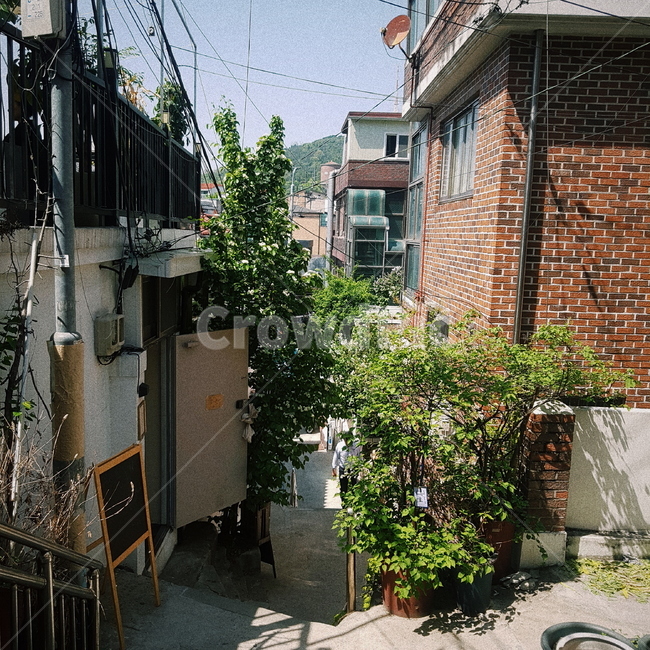 서울,이태원,골목길,감성,초록색,도시,풍경,city,landscape,한국도시풍경,한국도시경관,korea cityscape,골목길,alley,brick,벽돌