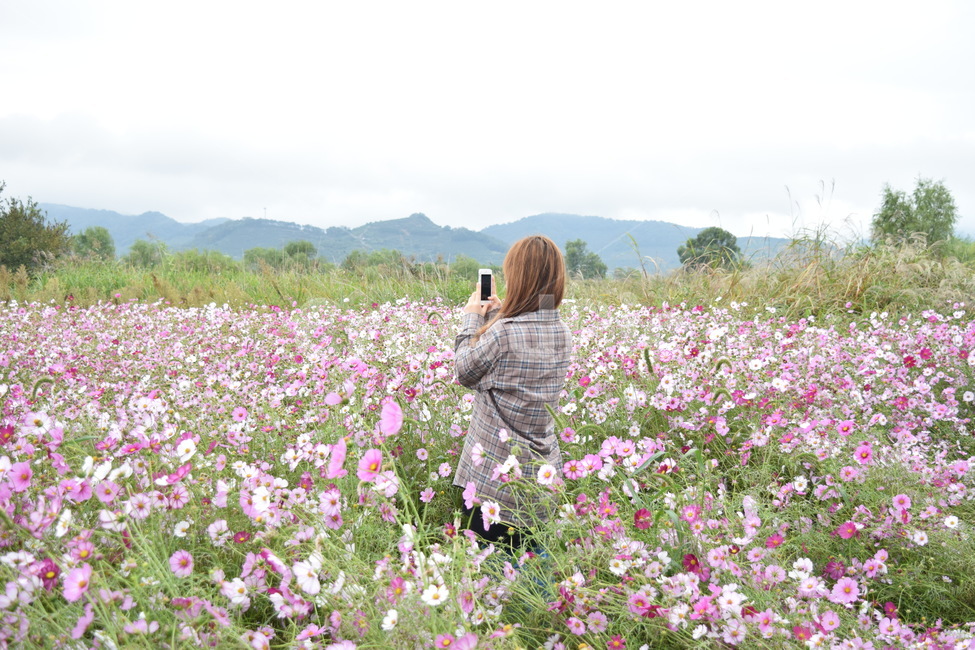 사람,human,인간,식물,코스모스,가을,계절,fall,autumn,season,사람,인물,인간,human,person,여성,여자,woman,female,lady