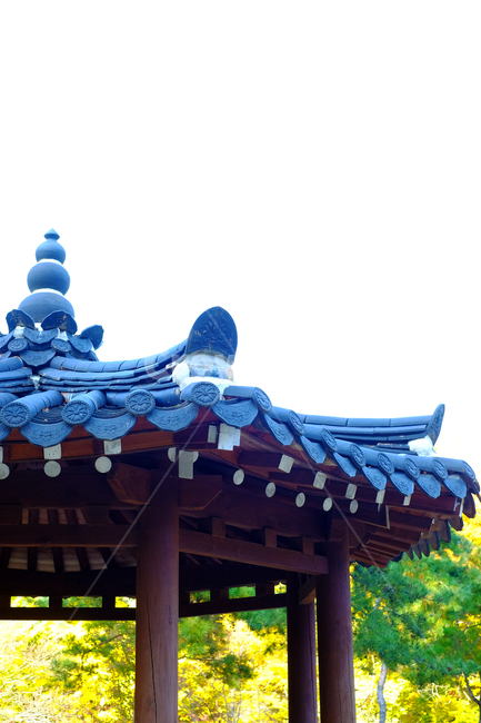 쉼터,기와,건축물,8각정,휴식,한국전통,한국문화,korean traditional,korean culture,건축물,건물외관,exterior,building,structure,architecture,construction