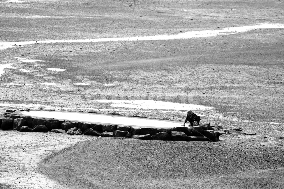 바다,갯벌,조개잡이,자연,감성,바다길,자연,풍경,nature,landscape,사람,인물,인간,human,person,인물실루엣,사람실루엣,character silhouette,human silhouette,흑백,모노톤,monochrome,black and white,산업,industry,industrial,어업,fishery,fishing industry,road,도로,gravel,자갈,dirt road,흙길,ground,바닥