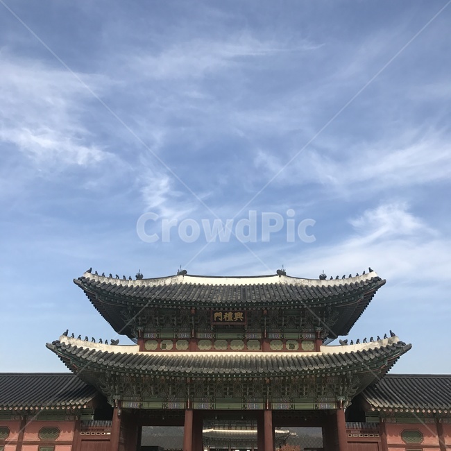 한국,전통,하늘,구름,가을