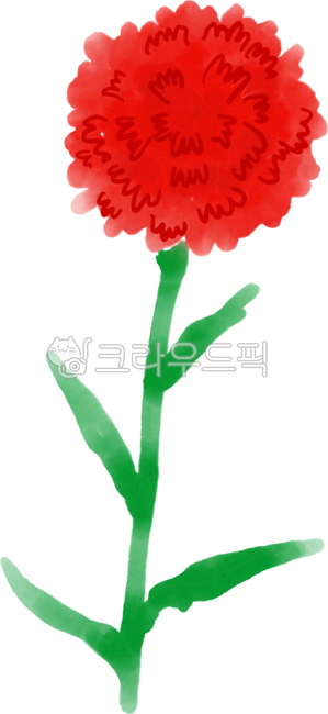 카네이션,어버이날,스승의날,가정의달,꽃,고마움,감사,감사인사,carnation,thankyou,thanks,어버이날카네이션,스승의날카네이션,일러스트,손그림,illustration,mothersday,tamplate,5월,꽃그림,꽃일러스트,redflower
