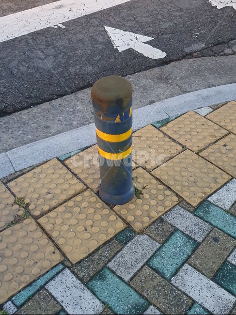 길,보도블럭,도로,신호등,횡단보도