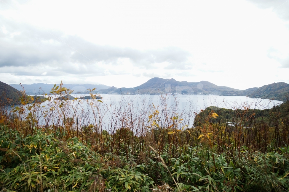 가을,단풍,산,호수,섬,구름,나무,대나무,물,자연,풍경,nature,landscape