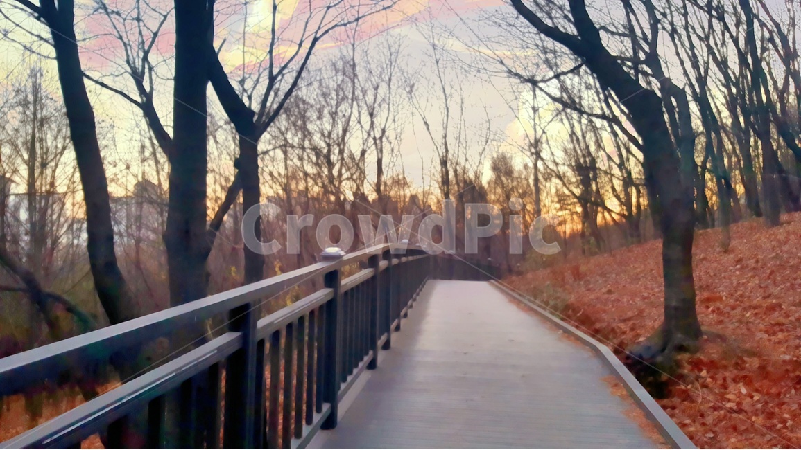 가을,산책로,산,구름,노을,가을,계절,fall,autumn,season,자연,풍경,nature,landscape,railing,난간,building,건물