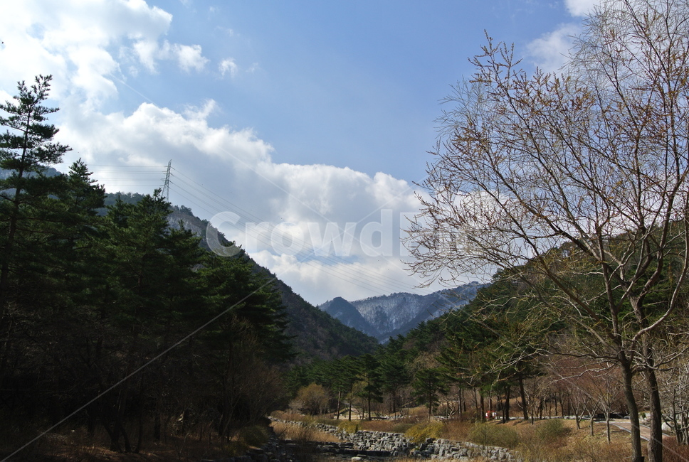 하늘,구름,맑은날씨,cloud,korea,숲,겨울산,forest,산,풍경,mountain,자연,풍경,nature,landscape,outdoors,옥외,tree,나무,plant,식물